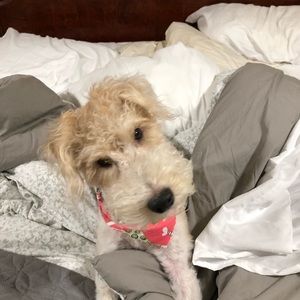 Meet your Posher, Mac